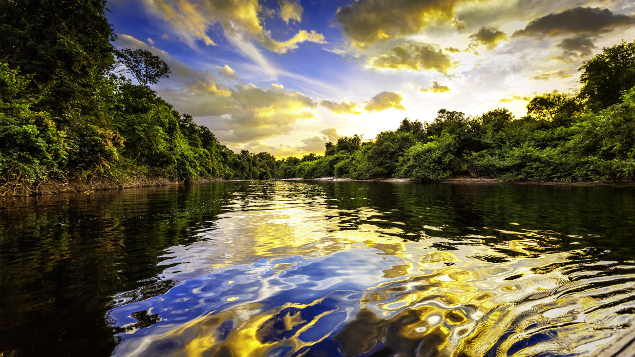 Dramatic colorful landscape on a river in the amazon state Venezuela at sunset