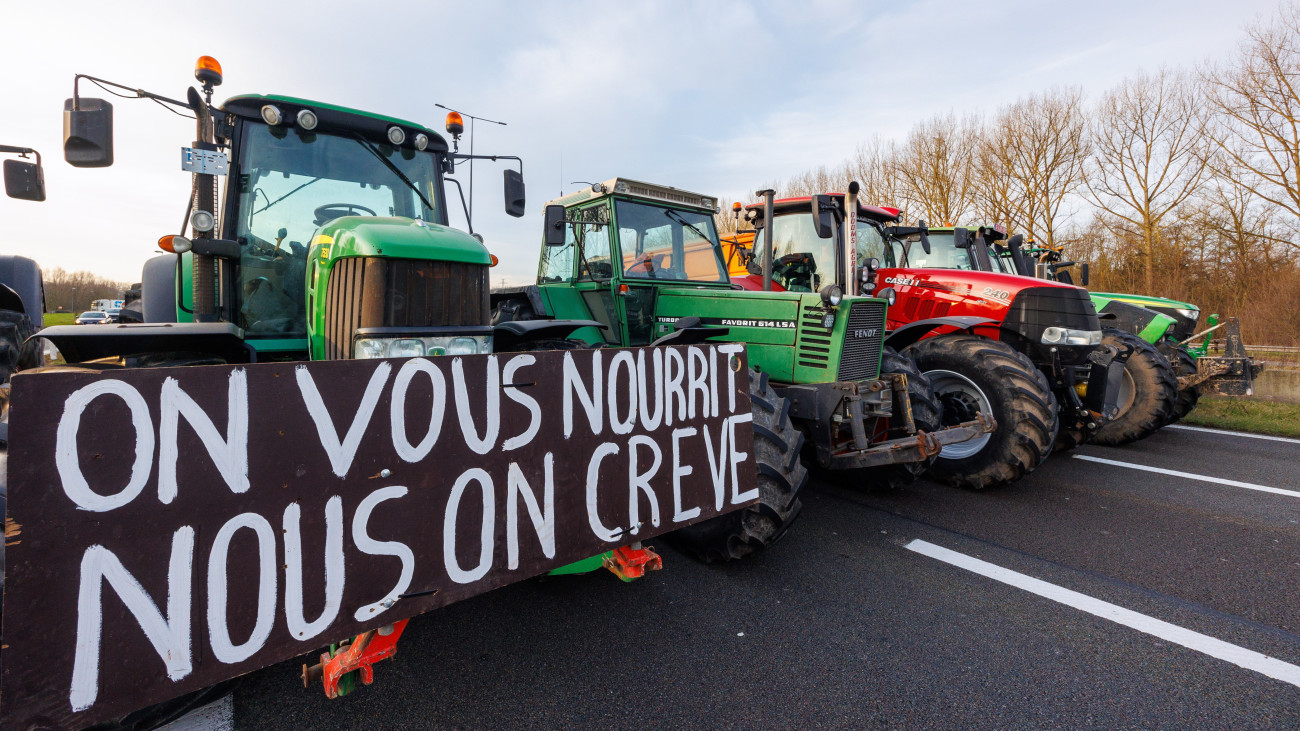Éhezünk, miközben etetünk titeket feliratú transzparenssel tüntetnek belga gazdák a Brüsszelbe vezető autópályán Beersel közelében 2024. január 29-én. A belga gazdálkodók a csökkenő bevételeik, a bonyolult jogszabályok és a túl sok adminisztrációs munka miatt tiltakoznak.