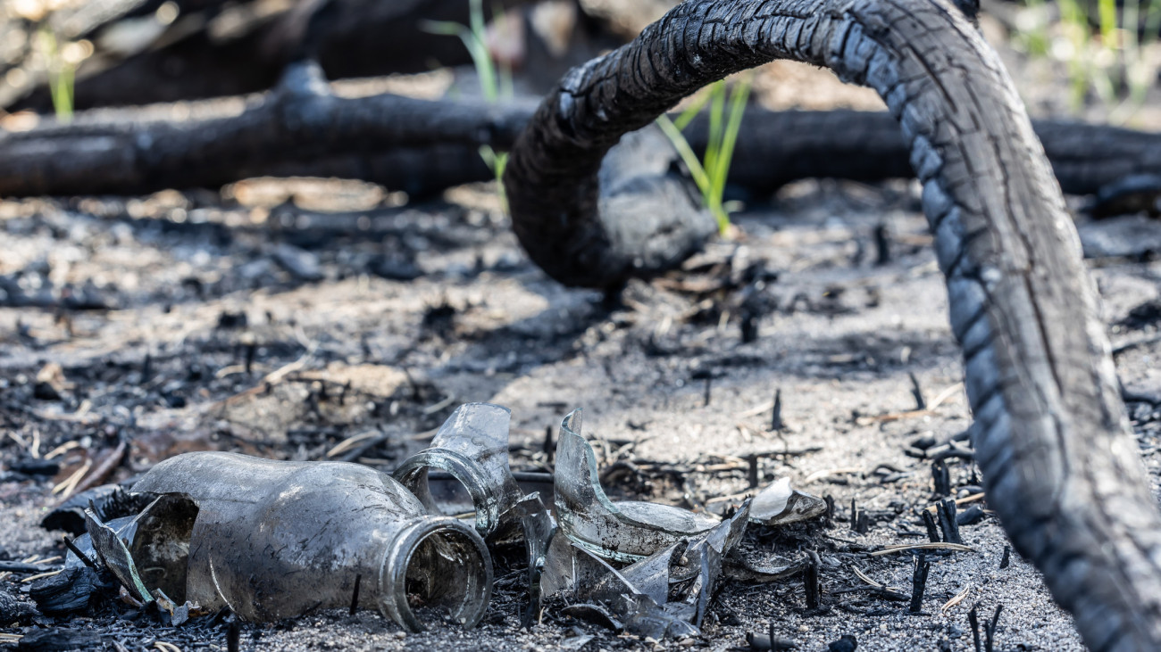 After a large forest fire on an old abandoned Russian military training area, near the city of JĂźterbog (Teltow-FlĂ¤ming, Brandenburg State), south of the German capital Berlin. Arson is often suspected as the reason for the frequent forest fires, or self-ignition from glass lying around in the forest.  Lots of hectares caught fire due to the drought and heat. The fire brigades cant really put it out because the grounds of the old military training areas are full of old dangerous ammunition.