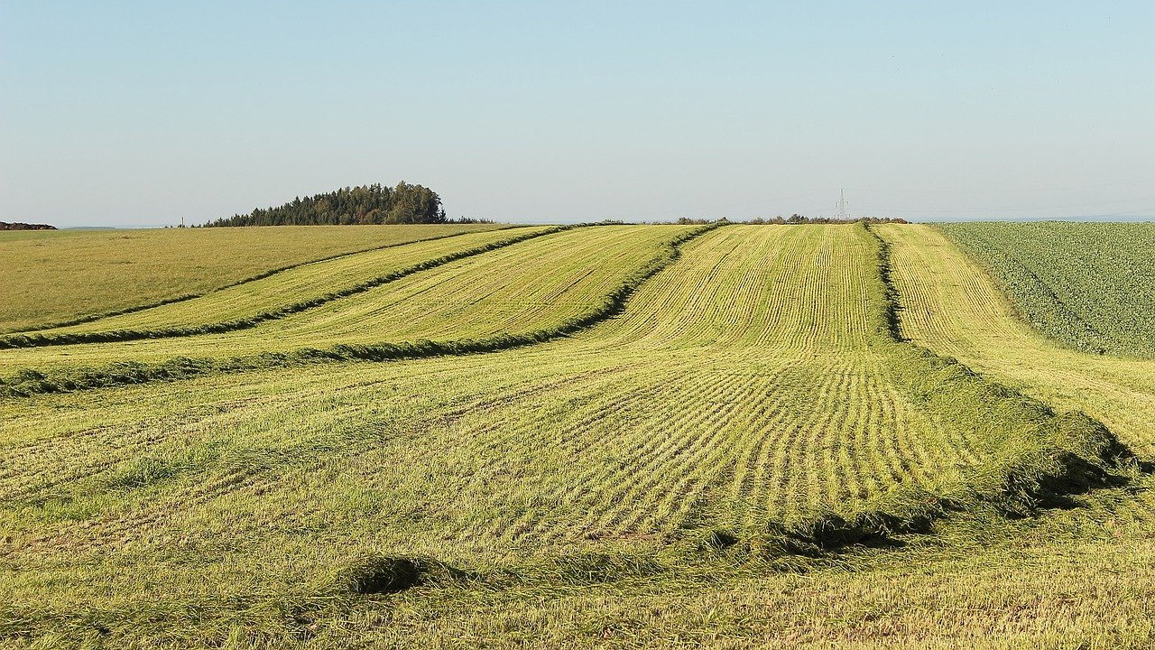 mezőgazdaság arárium földművelés