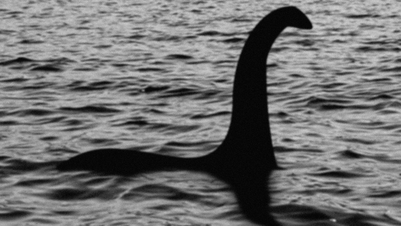 Loch Ness Monster sighting!! The water is from one of my other images. Added noise and blur to make it look like the famous old hoax picture.