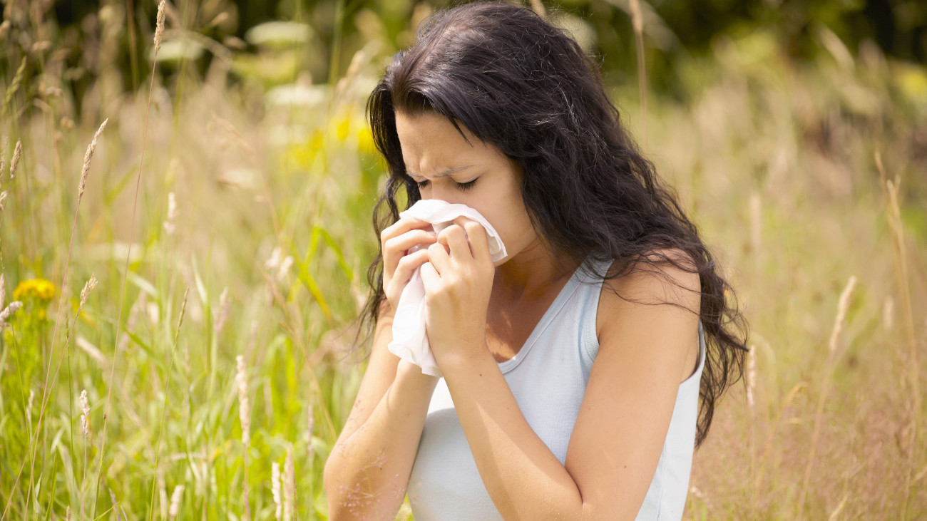 Támadnak a penészgombák és az útifüvek – jelentősen kitolódhat az allergiaszezon