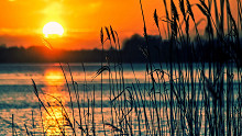 Elképesztő, mit tettek a Balatonnál egy lakópark miatt