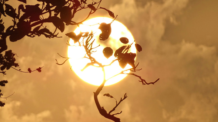 Csípősre sikerült az időjárás-jelentés: jön a feketeleves