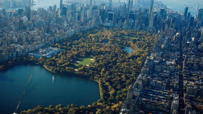 Az egyik amerikai elnökjelölt állítja, ő hagyta a medvebocs tetemét a Central Parkban – videó