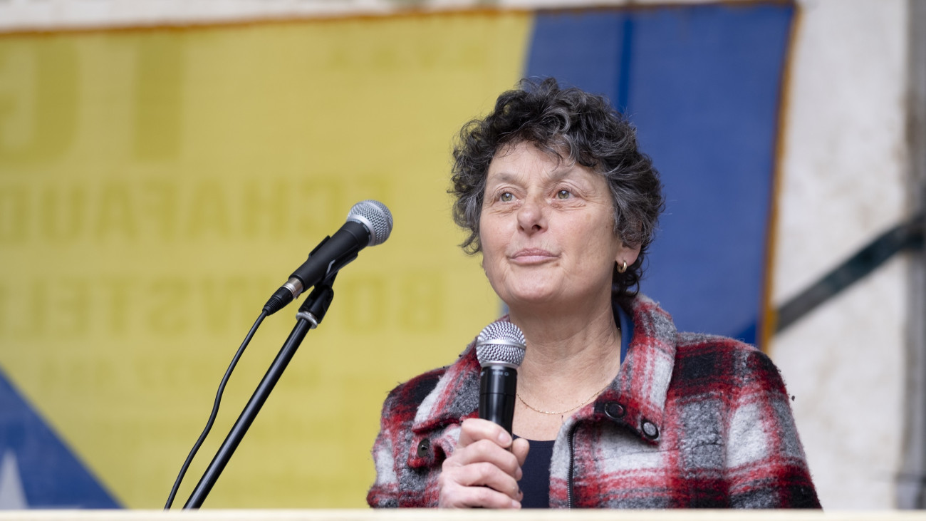 aBRUSSELS, BELGIUM - JANUARY 10: Dutch Member of the European Parliament (Group of the Greens/European Free Alliance - GroenLinks) Tineke Strik delivers a speech in front of the BosniaHerzegovina diaspora who protests for peace in BiH on January 10, 2022 in Brussels, Belgium. Martina Hermina Antonia Strik is a member of the Delegation to the EU-North Macedonia Joint Parliamentary Committee of the European Parliament. The organizers invited BiH citizens to go out to the streets in other cities in Europe and the world with the same messages: We would like to point out that this gathering is a sign of concern and patriotism, and does not aim to promote any political option or be directed against any people in B&H. The events we have been witnessing in past months are seriously endangering peace, and that is why it is our duty to speak out and clearly say that we dont want divisionsand war once again. Meanwhile, protests have been announced in Geneva, London, Ottawa, Toronto, Oslo, Rome, Vienna, Stockholm, Goth