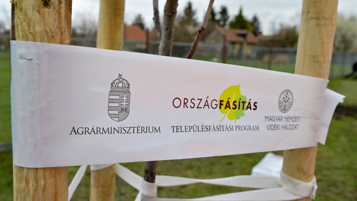 Ősszel újabb hatezer fával gazdagodnak a magyar települések