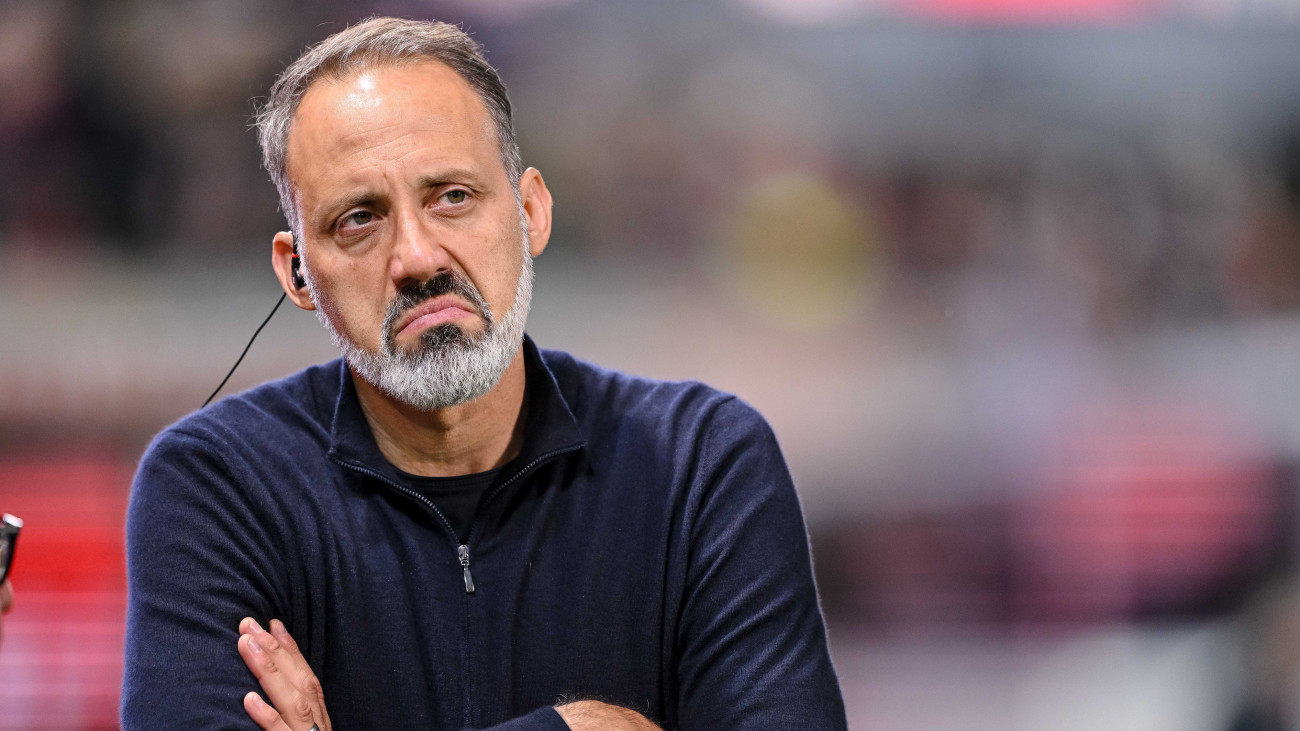 27 October 2024, Baden-WĂźrttemberg, Heidenheim: Soccer: Bundesliga, 1. FC Heidenheim - TSG 1899 Hoffenheim, Matchday 8, Voith-Arena. Hoffenheim coach Pellegrino Matarazzo stands in the stadium before the game. Photo: Harry Langer/dpa - IMPORTANT NOTE: In accordance with the regulations of the DFL German Football League and the DFB German Football Association, it is prohibited to utilize or have utilized photographs taken in the stadium and/or of the match in the form of sequential images and/or video-like photo series. (Photo by Harry Langer/picture alliance via Getty Images)