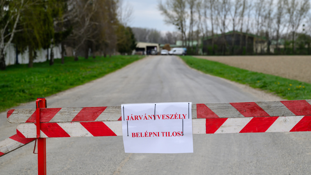 Járványveszélyre figyelmeztető felirat egy lezárt szarvasmarhatelepre vezető úton Dunakilitin 2025. április 2-án. A 2500 állatot számláló gazdaságban a szarvasmarha-állományban igazolták a ragadós száj- és körömfájás vírus jelenlétét. Újabb két telepen, Darnózselin és Dunakilitin jelent meg Győr-Moson-Sopron vármegyében a ragadós száj- és körömfájás vírusa.