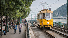 Nem a kevés fa a baj – csapdába sétál Budapest a Főkert szerint   