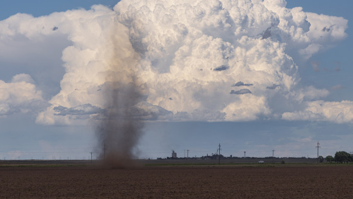 Hatalmas porördögöt fotóztak Inárcson