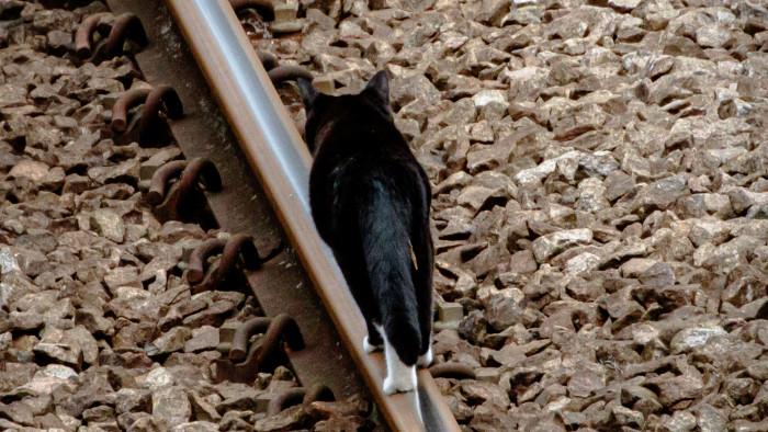 Még tűz is a MÁV ellen van