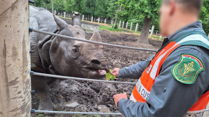 Állati gyomorban végezte a bűnös szállítmány