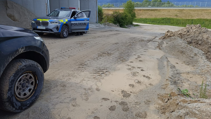 Újabb véres medvetámadás a szomszédban – kórházban az áldozat