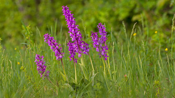 Felháborító esetre derített fényt egy fotós