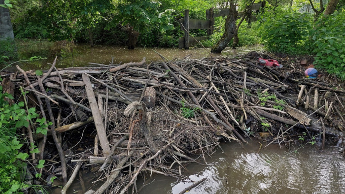 Ez a zebegényi siker más településeknek is példa lehet – képek