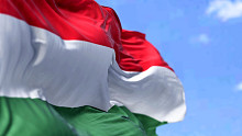 Magyar zászló elégetése miatt tiltakoznak vajdasági magyar szervezetek