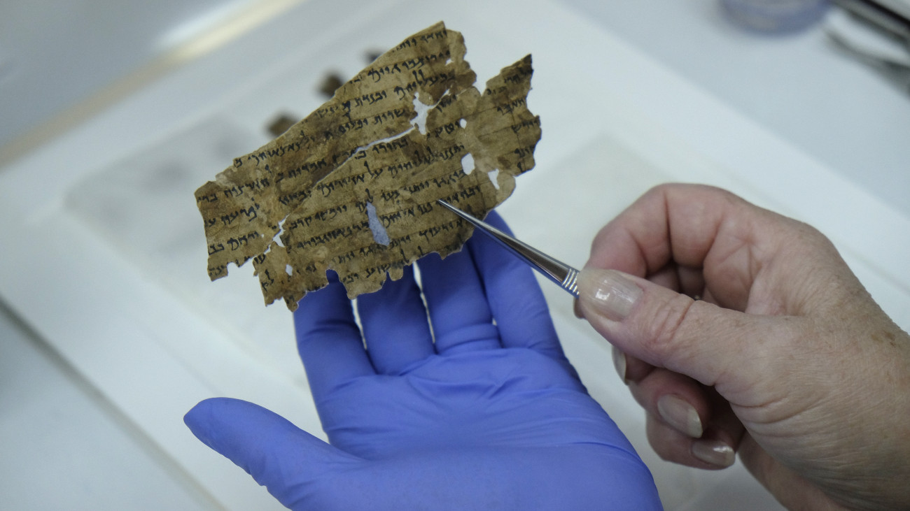 A worker of the Israeli Antiquity Authority sews fragments of the Dead Sea scrolls which includes biblical verses in a preservation laboratory of the Israel Museum in Jerusalem.