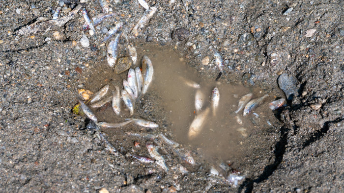 Pénteken este éri el a parajdi sós víz Magyarországot