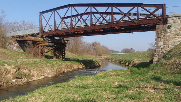 Rejtélyes tragédia a Dunántúlon, védett állatok is elpusztultak