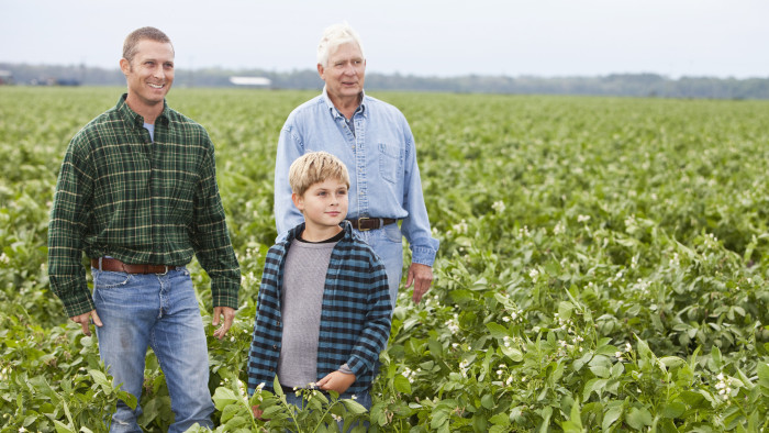 Amire kevés családi vállalkozásnál gondolnak: mi lesz, ha kiesik a cégvezető?