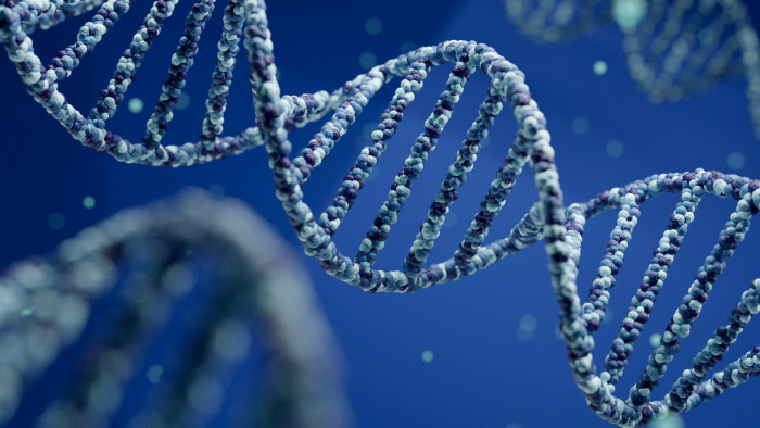 Dr. Frankenstein utódai színre léptek Nagy-Britanniában