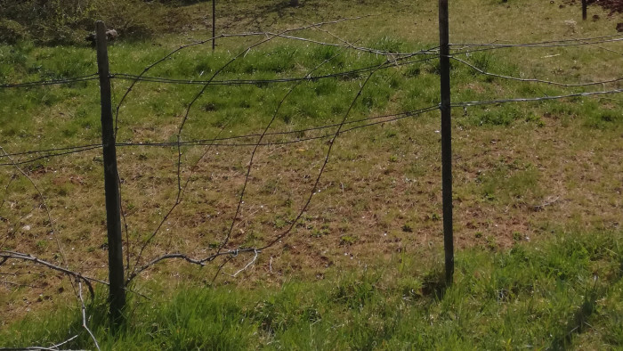 Sivataggá lett Alföld és a magyar szuverenitás csapdája - a volt miniszter szerint nagy a baj