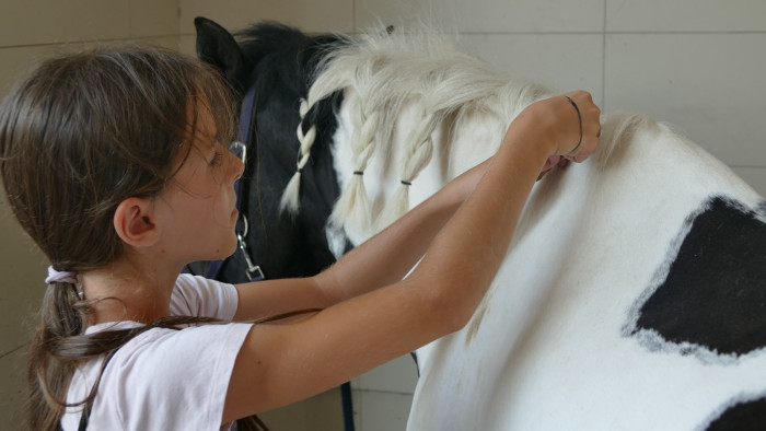 Nyári élményterápiás táborok Fóton – sérüléssel élő gyermekeknek