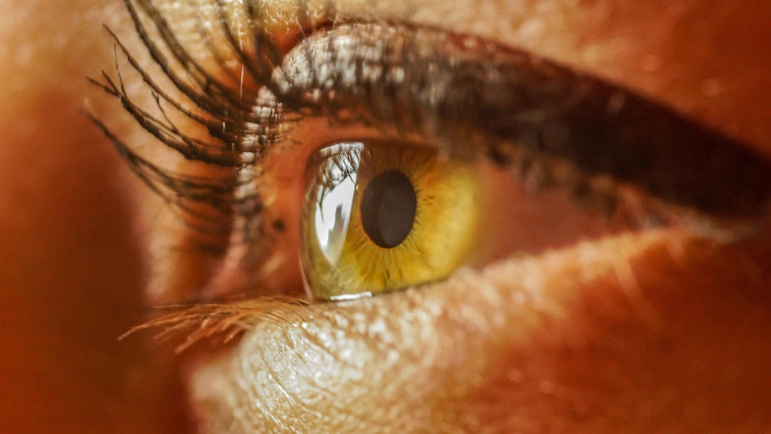 Magyar kutatók mesterséges intelligencia segítségével kerültek közelebb az emberi látás megértéséhez