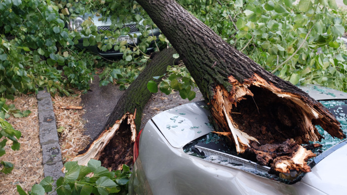 Mabisz: viharban nem mindig a kármentés az első