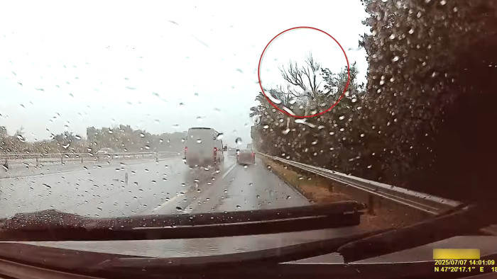 Fa dőlt a család autójára az M7-esen – videó