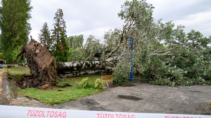 Remény a balatoni utazók számára: így áll helyre a vasúti közlekedés