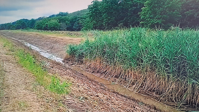 Zagyva-vita: eredményes lehetett a tiltakozás, leálltak a kotrással