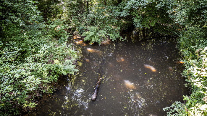 Több mint félmilliárd forintból újulnak meg az Őrségi Nemzeti Park élőhelyei
