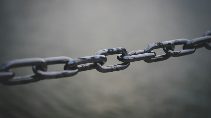 Láncra verve, étlen-szomjan hagyta elpusztulni a kutyáját