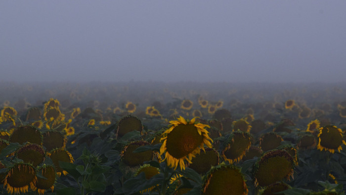 Veszélyekkel teli időjárásunk lesz