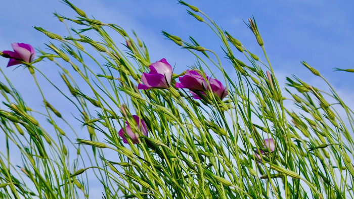 Jön a hidegfront, lesz nagy kavarodás hétfőn - időjárás