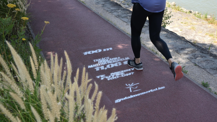 Fura jelek bukkantak fel a Margitszigeten