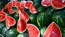 Kegyes volt az időjárás, nagyon jó lesz az idei dinnyetermés