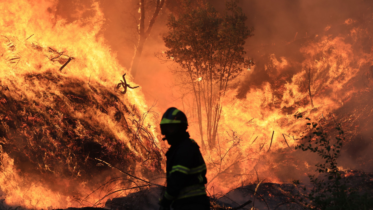 Erdőtűz ellen küzdő tűzoltó a portugáliai Mocaóban 2025. július 29-én.