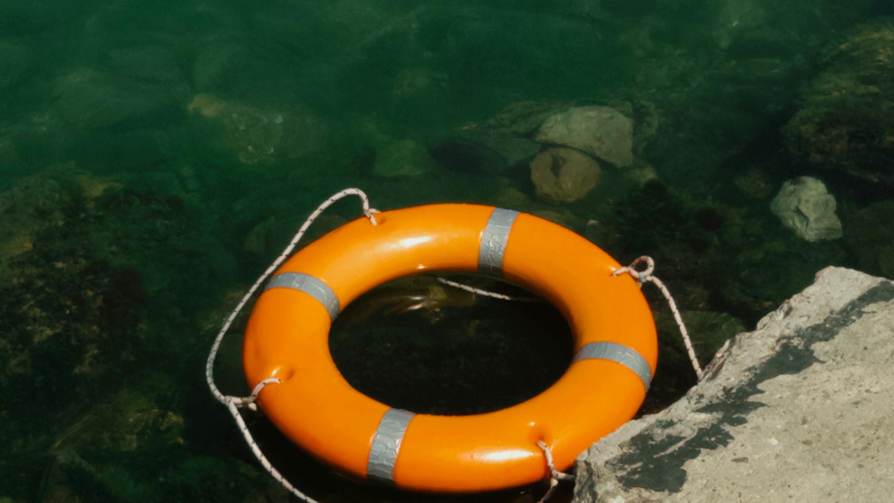 Fotó: Таня Гуцу - Pexels