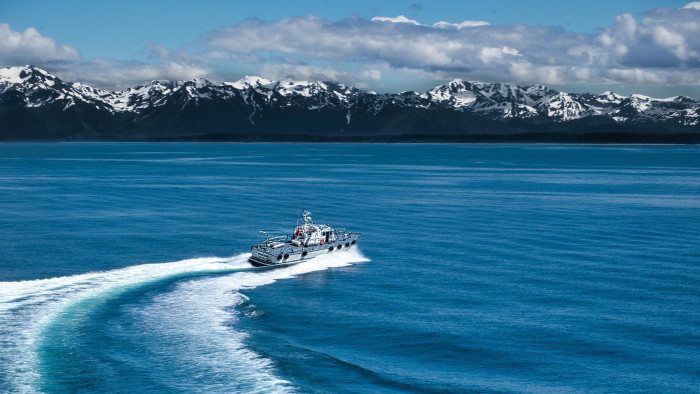 Elemző: Ukrajnán kívül egy új együttműködés is kezdődhet Amerika és Oroszország között