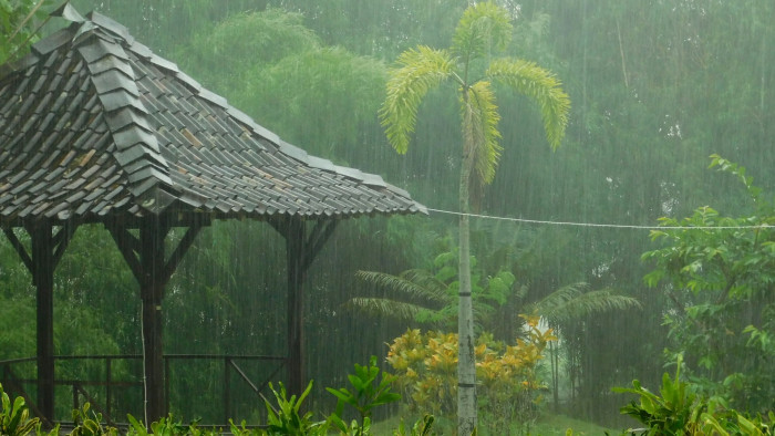 Brutális erejű tájfun fenyegeti Vietnámot, százezreket terveznek evakuálni