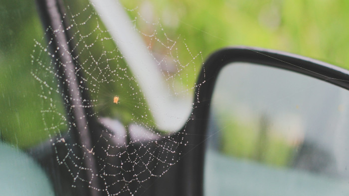 Vigyázat, már a pókok támadnak itthon az autóban