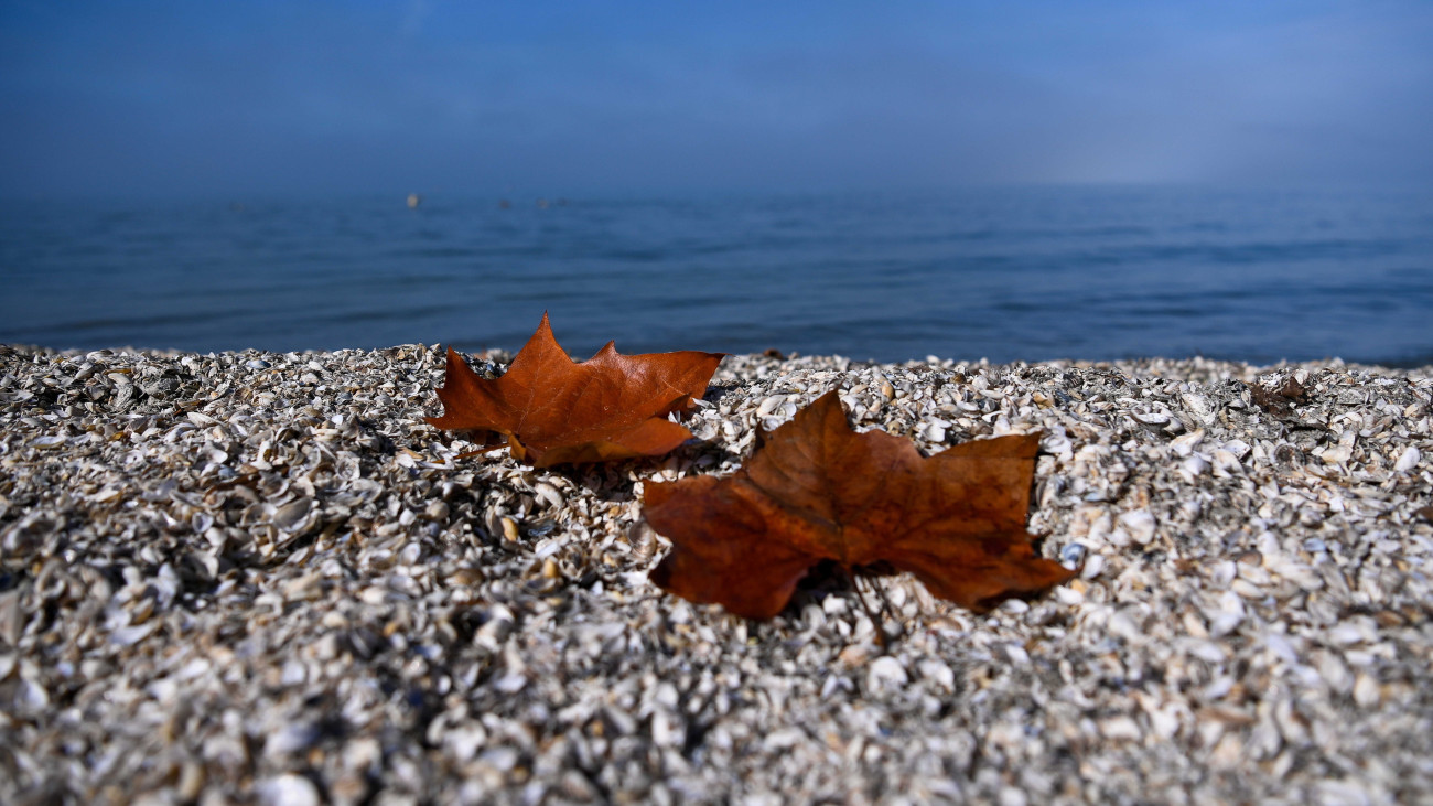 Lehullott falevelek a Balaton partján Fonyód közelében 2022. október 27-én.