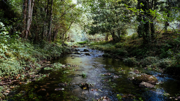 Már telefonos alkalmazással is figyelhetjük a folyóvizek állapotát – a tudósok kifejezetten kérik is