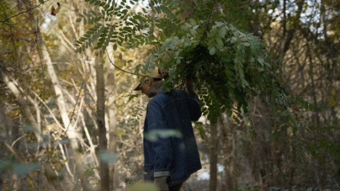 A természet a partnerünk: a kortárs művészet és a natúr borok is bizonyítják