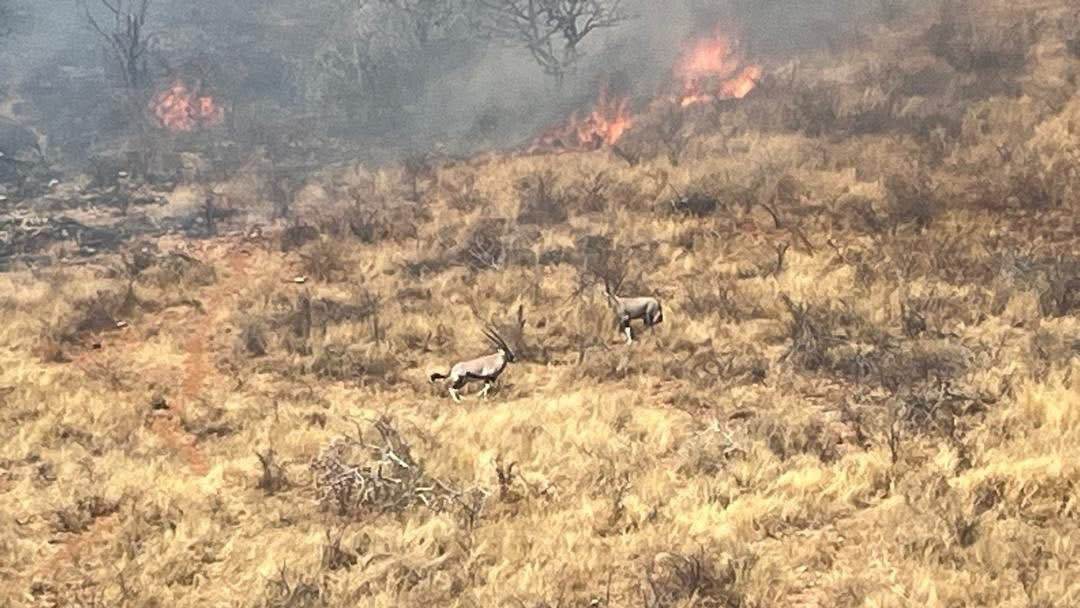 Tűzvész tombol Namíbia legismertebb nemzeti parkjában