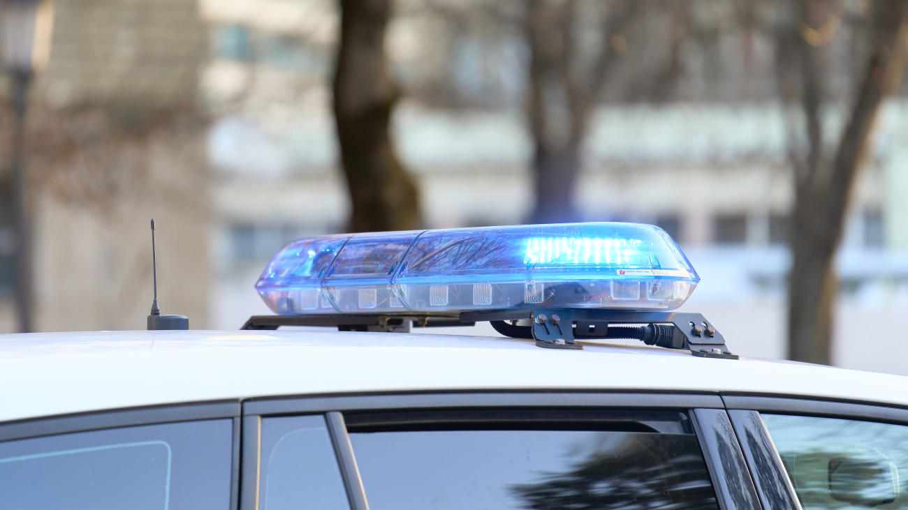 a close-up view of a police vehicle with blue lights patrolling near a public park with the windows and doors closed