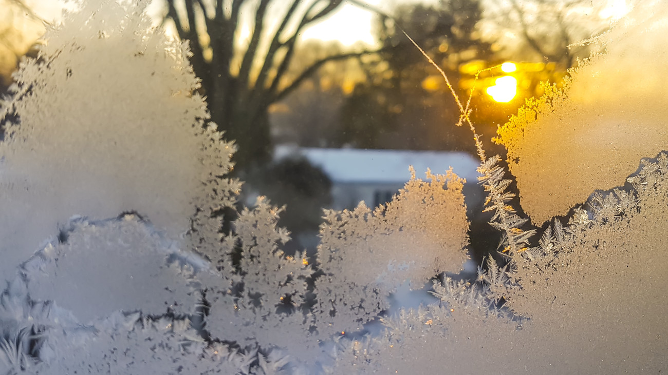 Feathered ice crystals on window, sunrise at background